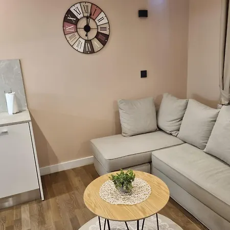 דירה Apartman Mimi רייקה